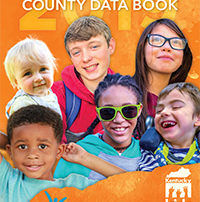 2019 County Data Book Cover