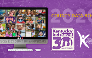 2020 County Data Book Promo Image
