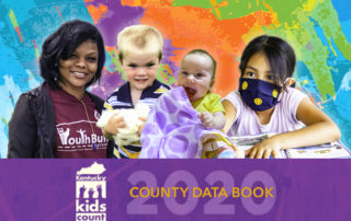 2020 County Data Book